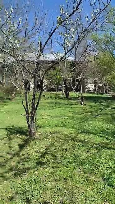 cepis satisi: 5 sot, Tikinti, Mülkiyyətçi, Kupça (Çıxarış) — 2