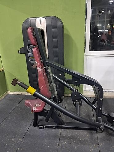 Musiqi alətləri: Əla vəziyyetdə - Məqsəd: Döş əzələləri (pectoralis major/minor), ön — 2