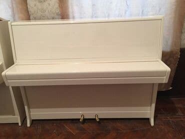 piano petrov: Pianino PETROF Cexya stehsalı. Ideal vəziyyədə. Cadırılma və köklənmə — 2