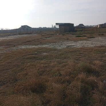 14 sot, Tikinti, Bələdiyyə