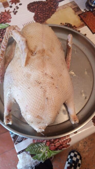 Lexus: Təmizlənmiş qaz əti çəkisi 4kq — 1