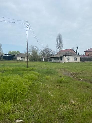 novxanıda torpaq: 100 sot, Biznes üçün, Mülkiyyətçi, Kupça (Çıxarış) — 2