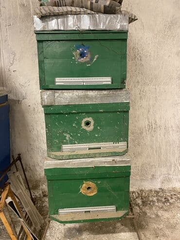 inək satışı: Arı yeşikleri
Yaxşı veziyyetdedir
Ehtiyyac olmadığı üçün satılır — 7