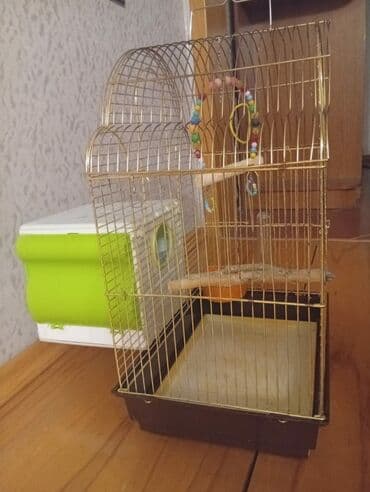amadin quşu: Quş qəfəsi və aksesuarlar. Qefes satılır yeni kimidiraz istifade — 3