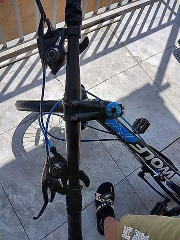 velo home: İki təkərli Uşaq velosipedi 20" — 5