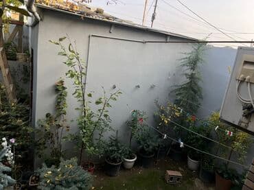 neftcilər ev: 4 otaqlı, 250 kv. m, Kredit yoxdur, Yeni təmirli — 5