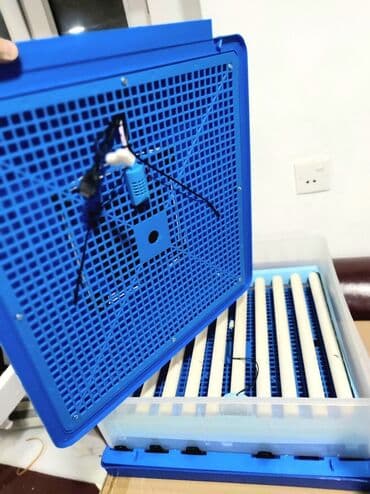 qirqovul satilir: Inkubator inkubatorlarin birinci əl satişi unversal inkubator 120 — 4