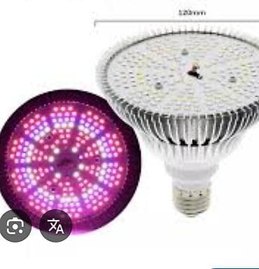 Bitki yetişdirmə dəsti – LED fitolampa + qidalar və mikoriza Məhsul lalafo.az -da Bitki yetişdirmə dəsti – LED fitolampa + qidalar və mikoriza Məhsul