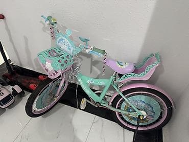 usag ucun: Uşaq velosipedi – “Princess” temalı, 2 təkərli Xüsusiyyətlər: - Rəng — 4