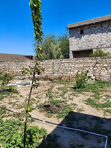 30 mine evler: 9 sot, Tikinti, Maklerlər narahat etməsin, Kupça (Çıxarış) — 2