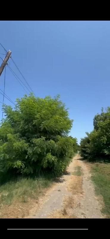 bakıda kiraye ev: Xudat, 28 kv. m, 1 otaqlı, Hovuzsuz, Qaz, İşıq, Su — 3