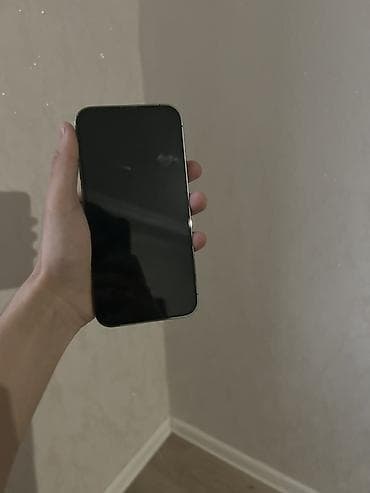 iphone 6 kabrolari: IPhone 13 Pro Max, Göy — 2