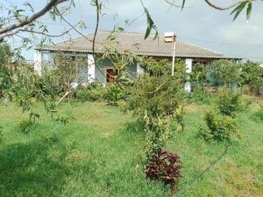 masazirda heyet evleri 2023: Həyət evləri və villaların satışı — 8