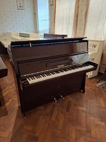 gitara simleri: Piano, Petrof, Akustik, Yeni, Pulsuz çatdırılma — 1