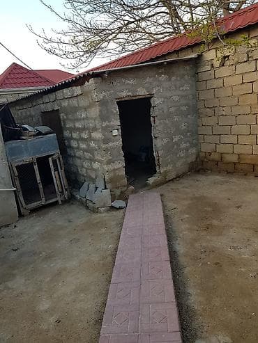 zigda satilan heyet evleri: 2 kv. m, 3 otaqlı, İşıq — 7