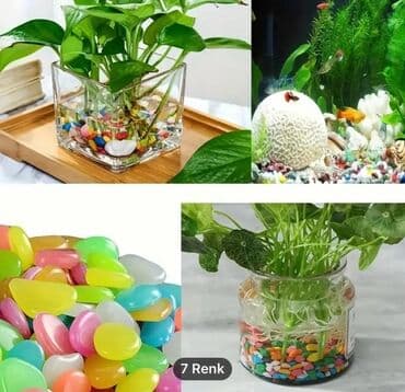 принадлежности для собак: Salam. Akvarium ləvazimatları satılır. Təzə vəziyyətdədir. Heç — 14