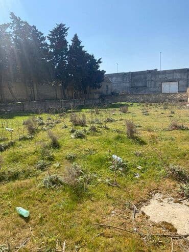 binə qəsəbəsi: 10 sot, Tikinti, Makler, Kupça (Çıxarış) — 6