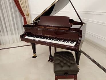 yamaha piano qiymeti: Piano, Hailun, Akustik, Yeni, Pulsuz çatdırılma — 1