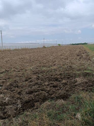 Kommersiya daşınmaz əmlakı: 136 sot — 1