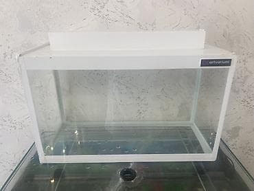afcarka balasi erkey: Dördbucaq akvarium, Boş, 15 l, Ünvandan götürmə, Ödənişli çatdırılma — 2