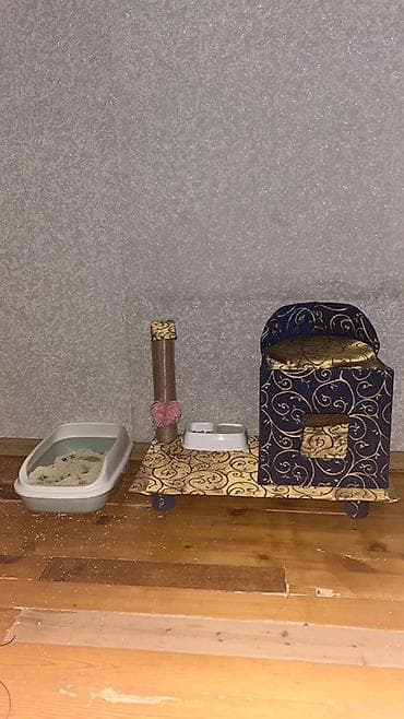 pulsuz pisiy: Britan, Erkək, Ünvandan götürmə — 6