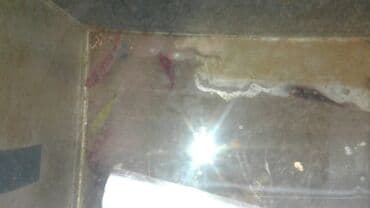 продажа аквариумных рыбок: Хищные, Самовывоз — 2