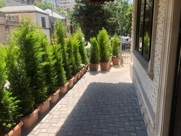 korpu mərasim evi: 28 may metrosuna yaxin 80 kv sahəsi olan kafe 3500azn icarəyə — 6