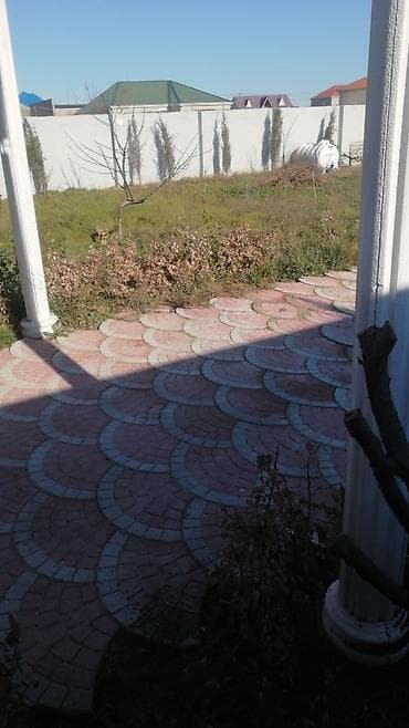 Bağban, 44 yaş, 5 ildən artıq təcrübə