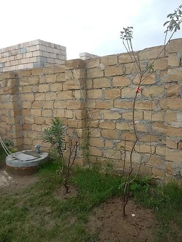 balaxanida ev satilir: Tikinti — 6