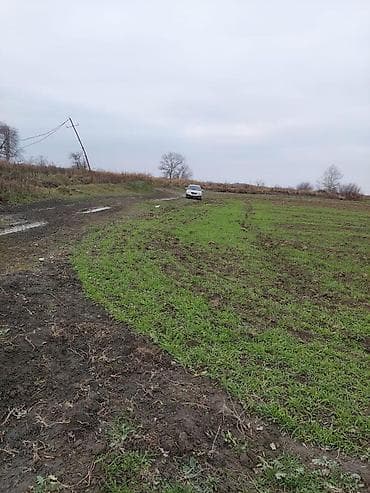 bolt hansi masinlari qebul edir: 150 sot, Biznes üçün, Barter mümkündür, Kupça (Çıxarış) — 1