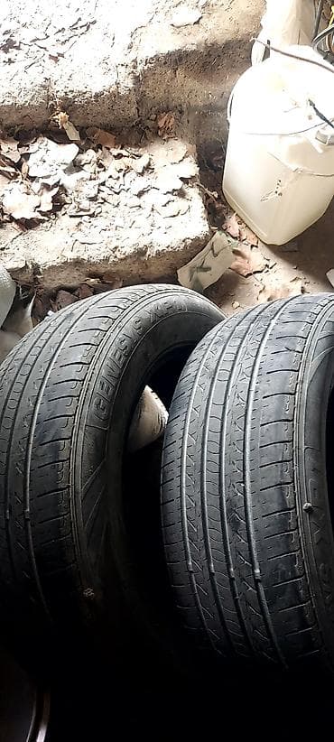 tekər: Şin Nexen 195 / 65 / R 15 — 2