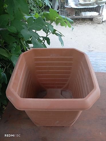tulpan gulleri: Plastik dekorativ güldan (kvadrat formalı) - Material: yüngül və — 2