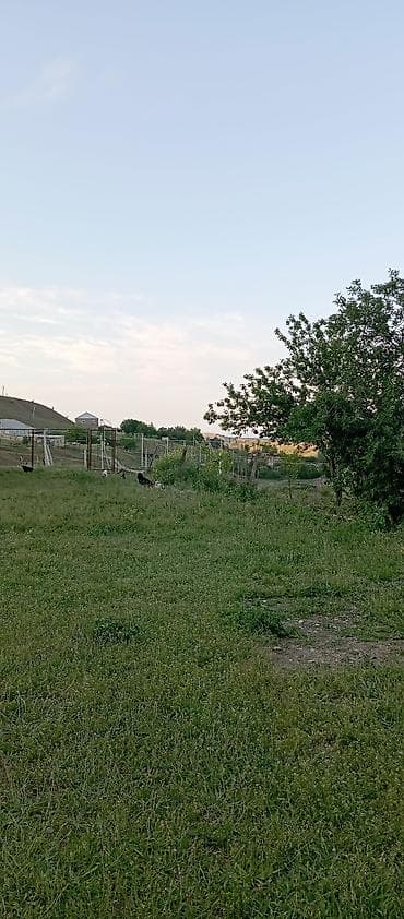 15 sot, Mülkiyyətçi, Kupça (Çıxarış) — 2