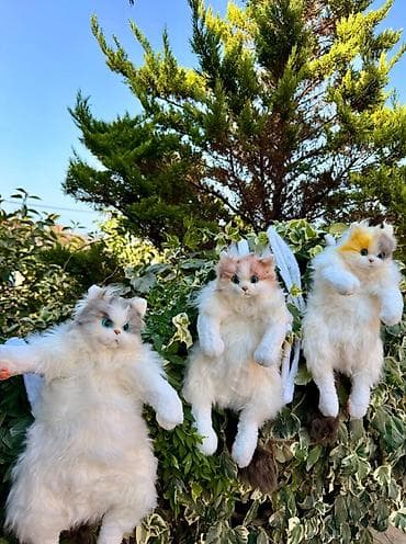 oyunca: Məhsul: Realistik pişik peluş oyuncaqları - Növlər: 3 fərqli rəng — 1