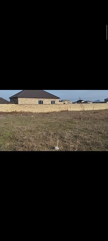 5 sot, Tikinti, Mülkiyyətçi, Kupça (Çıxarış)