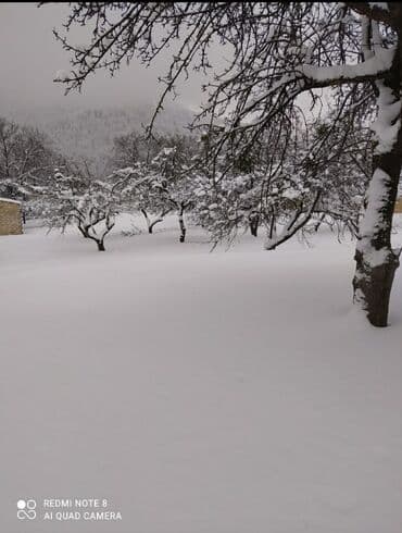 xacmazda torpaq: 48 соток, Для строительства, Собственник, Бялядия (муниципалитет) — 2