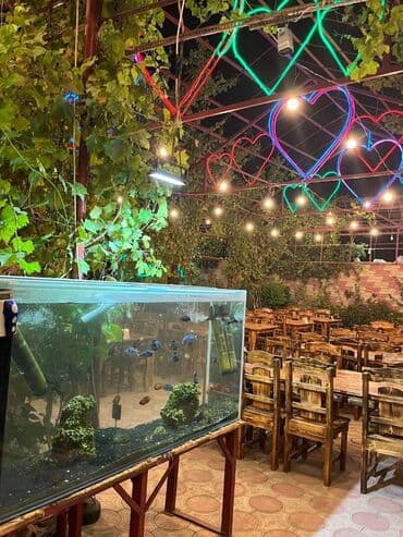 yeni yasamalda yeni tikili binalar: Xətai r, 1500 kv, 3 mərtəbəli restoran icarəyə verilir. İçki verilmir — 9