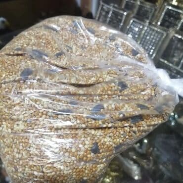 dovşan balası: Dovşan yemləri 2azn Dovşan balaları 5azn topdan Sadə yem Topdan 1-azn — 5