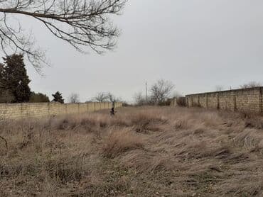 ferma icarəyə verilir: 25 sot, Tikinti, Mülkiyyətçi, Kupça (Çıxarış) — 4