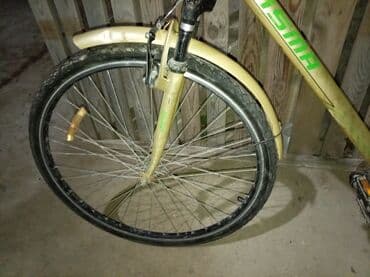 алиса купить в баку: Reyal Alçi yigsin Heç bir pirablemi yoxdu saz veziyədədi pul lazimdi — 6