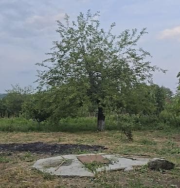 daşınmaz əmlak satışı: İsmayıllı, 52 kv. m, 4 otaqlı — 5