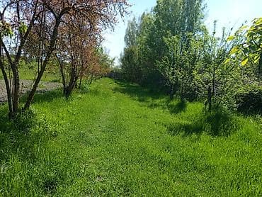 şlanqların satışı: TƏCİLİ SATILIR! Göyçay, Çaxırlı kəndində yol kənarında həyət evi! — 10