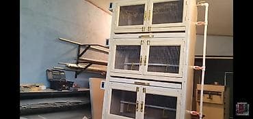 inkubator satisi: Son model rəqəmsal tam avtomat.
inkubator sifarişi — 2