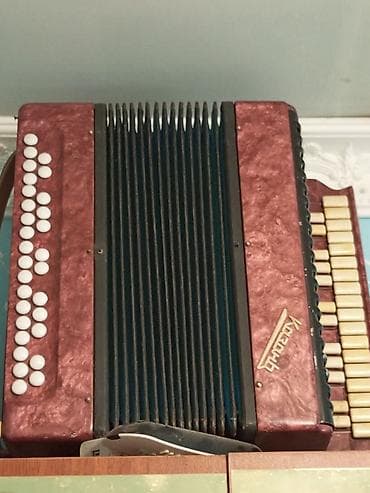 gitara qiymetleri: Акустический Аккордеон — 1