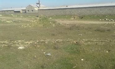 gencede satilan obyektler: 2 sot, Kənd təsərrüfatı, Mülkiyyətçi, Kupça (Çıxarış) — 5