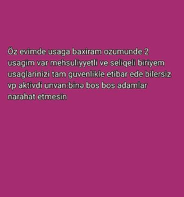 dayəlik: Xidmət: Evdə uşaq baxımı Məlumat: - Öz evimdə uşaq baxımı təklif — 1