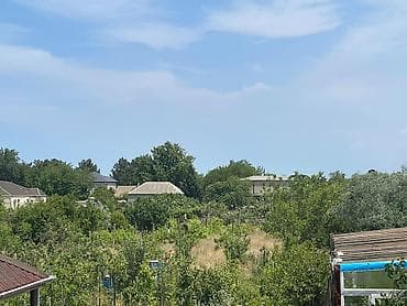 mida satis: 12 sot, Tikinti, Maklerlər narahat etməsin, Kupça (Çıxarış) — 1