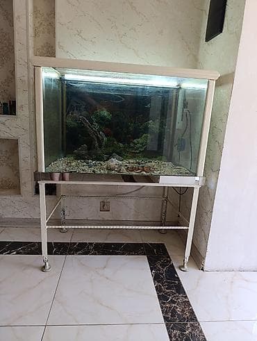 Akvariumlar: Akvaryum komplekti – şüşə akvarium, metal dayaq stol və işıqlandırma — 1