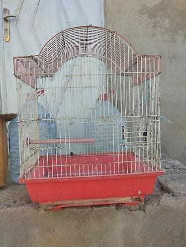 at sekileri: Quş qəfəsləri – müxtəlif ölçü və modellər - 4 ədəd metal barmaqlıqlı — 1