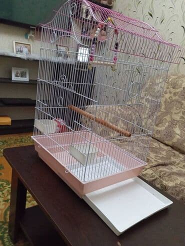 Heyvanlar üçün mallar: Salam. Tep teze iri kletka satiram. Curuyu,eziyi pasi yoxdur — 3